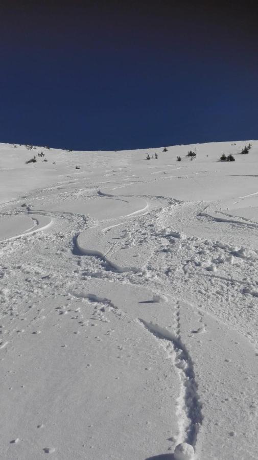 Ferienwohnung Wohlfahrter Bad Mitterndorf Zewnętrze zdjęcie