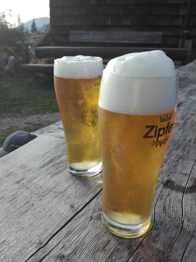 Ferienwohnung Wohlfahrter Bad Mitterndorf Zewnętrze zdjęcie
